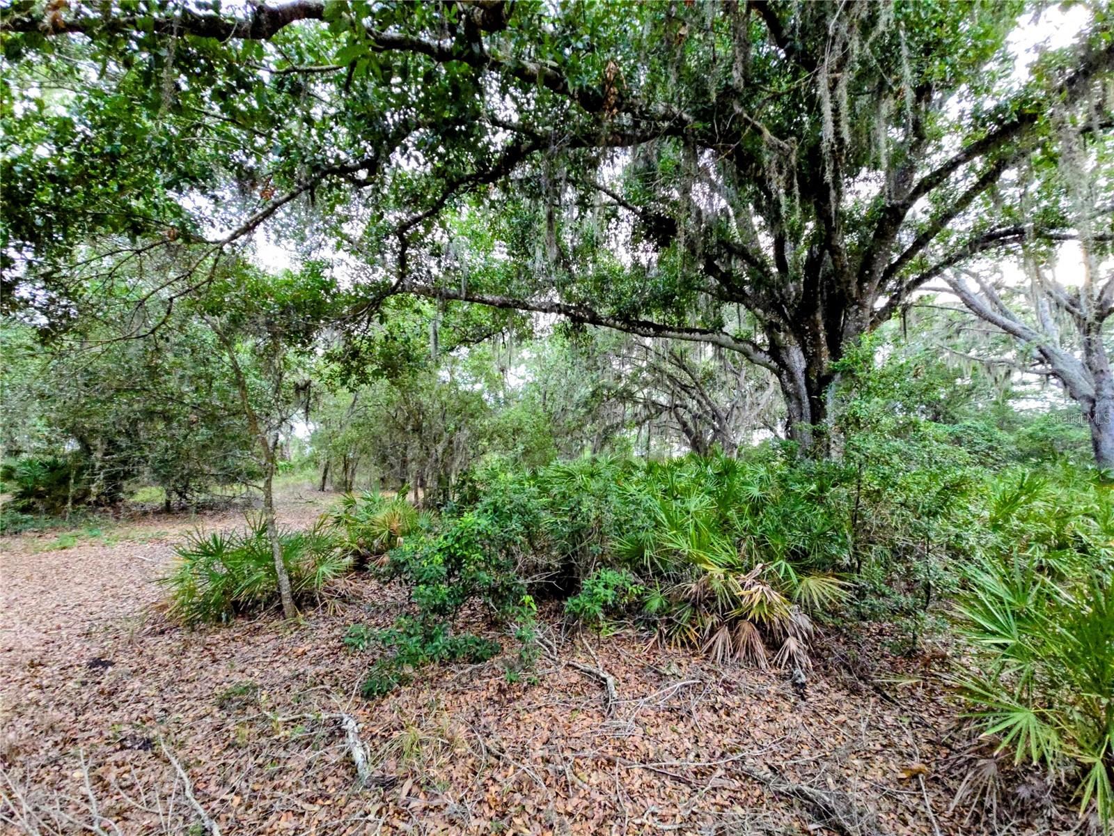 Avon-park Cutoff Rd Property Photo 3