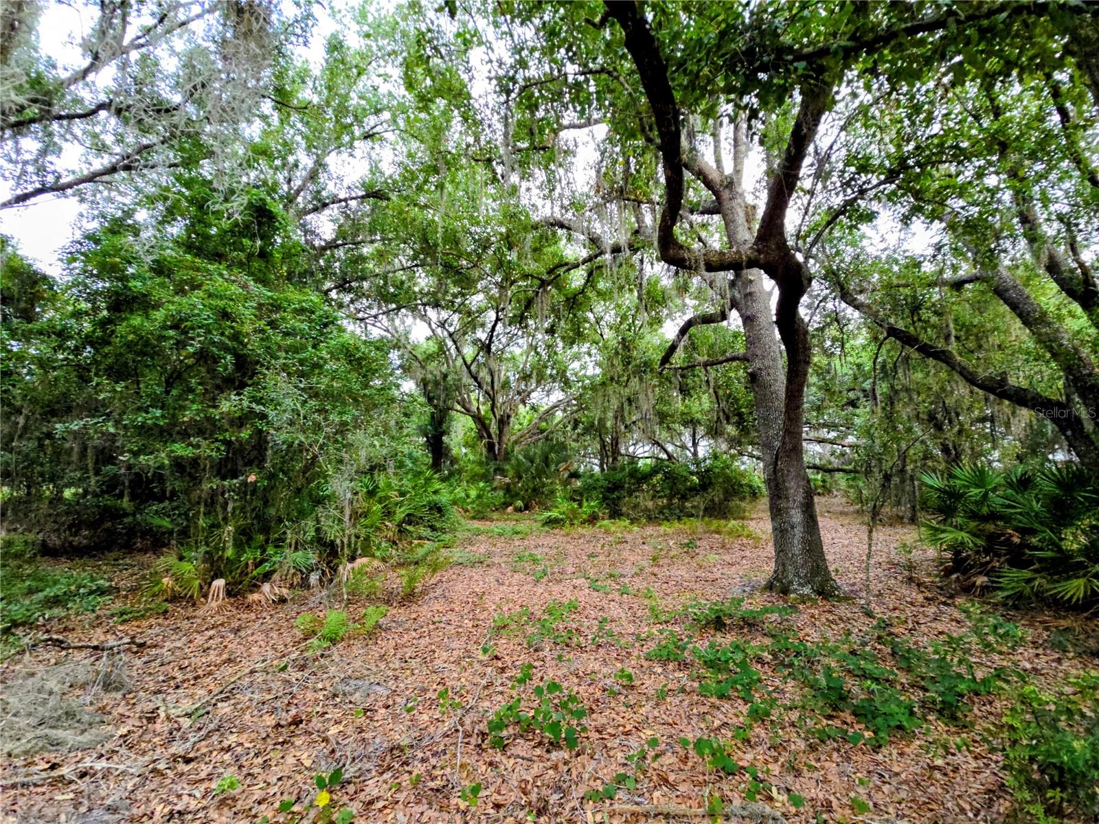 Avon-park Cutoff Rd Property Photo 4