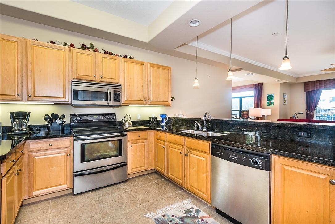 3334 Purple Martin Dr #211 Property Photo 11