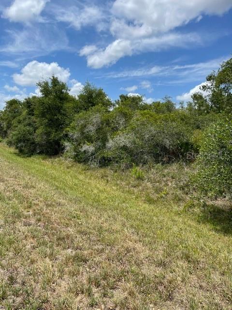 33514, 33522,33528 Washington Loop Rd Property Photo 2