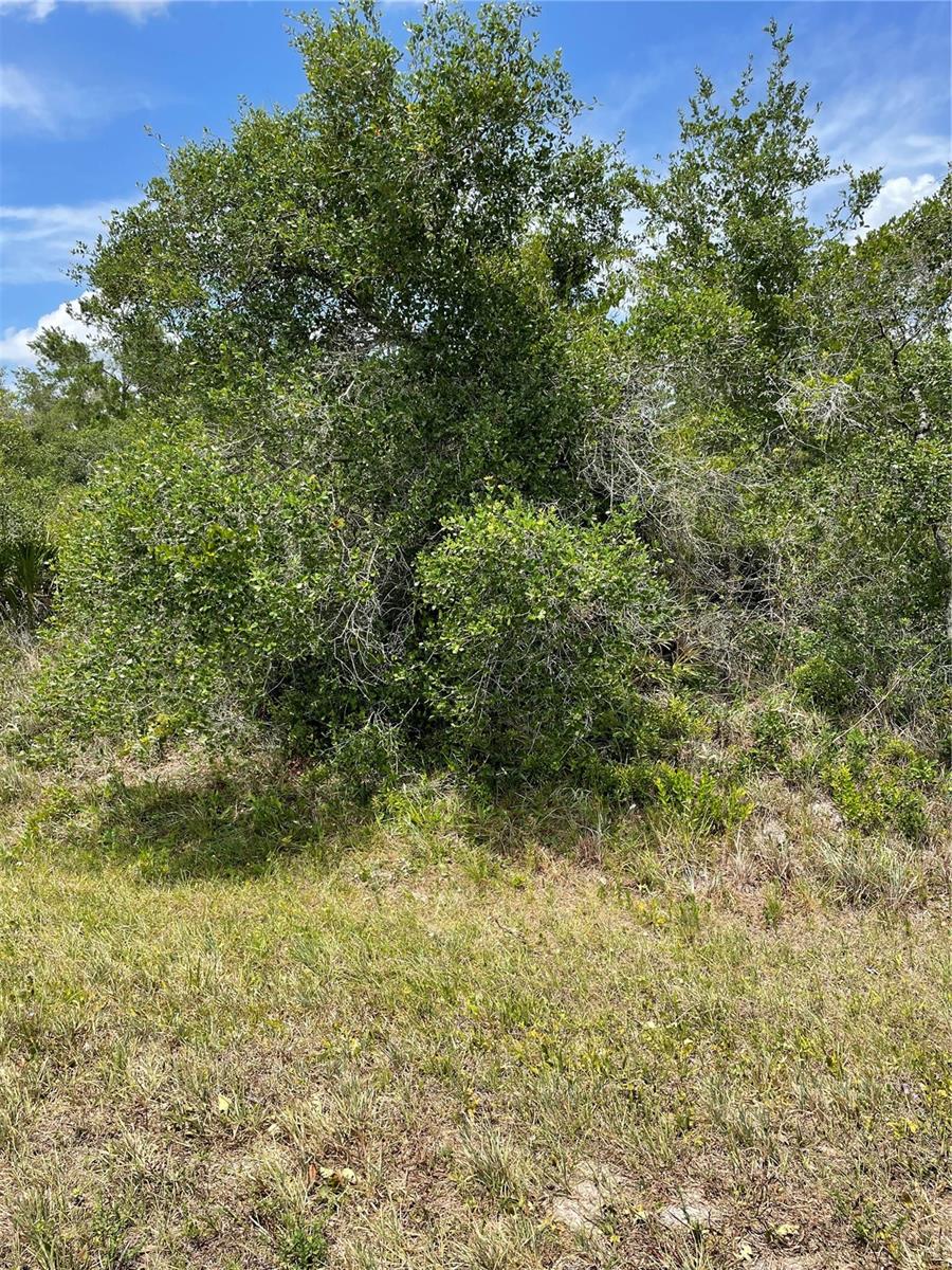 33514, 33522,33528 Washington Loop Rd Property Photo 3