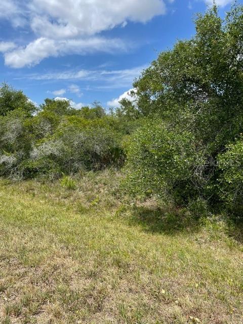 33514, 33522,33528 Washington Loop Rd Property Photo 4