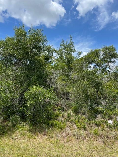 33514, 33522,33528 Washington Loop Rd Property Photo 5