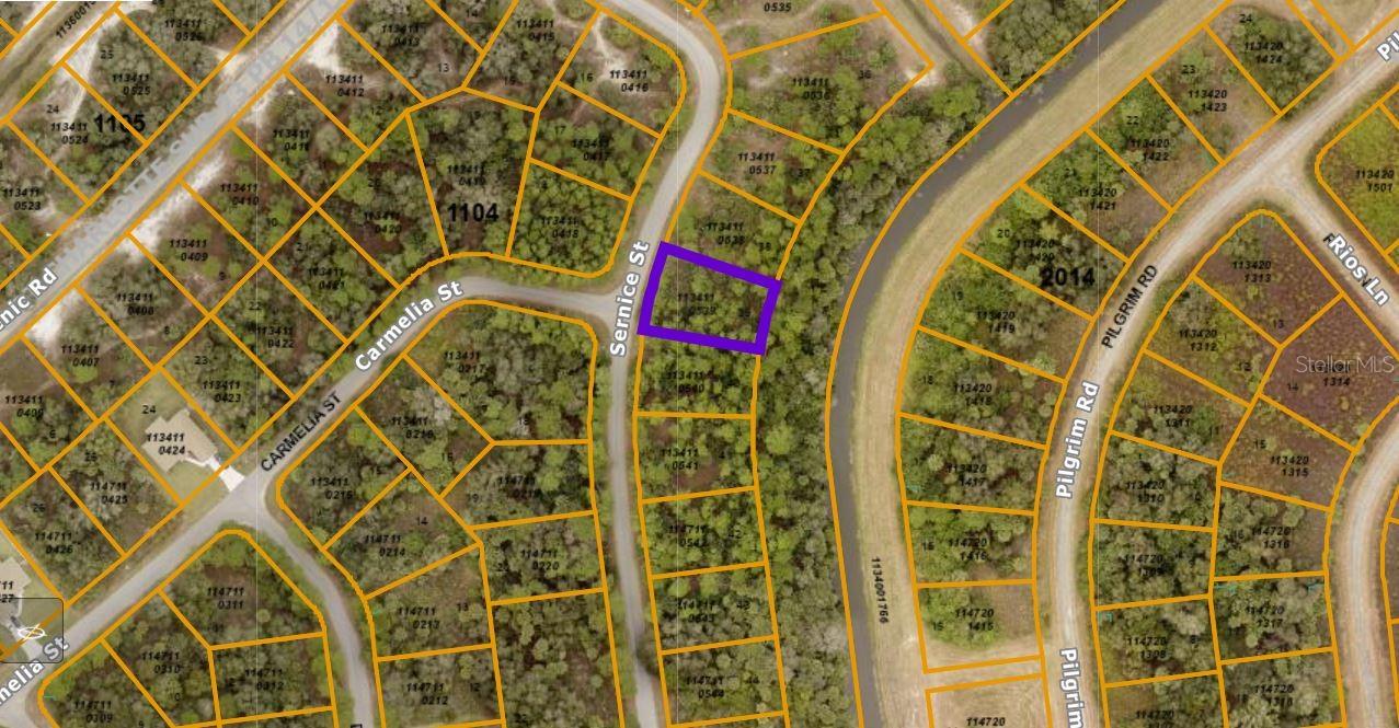 Sernice St Property Photo 2