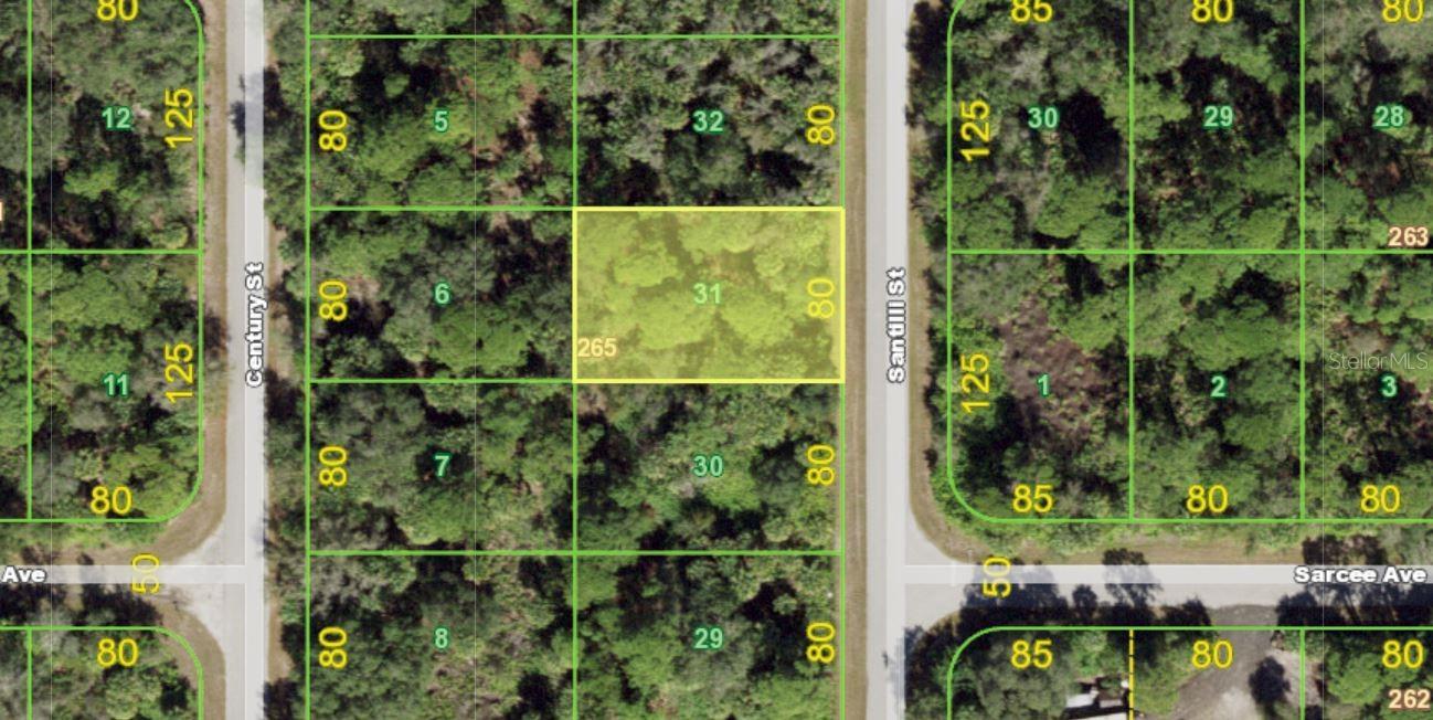 3311 SANTILLI ST Property Photo 1