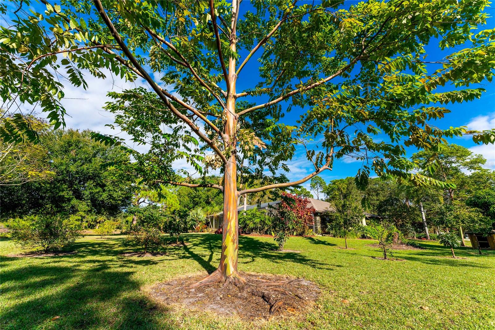 25271 Roland Ln Property Photo 4