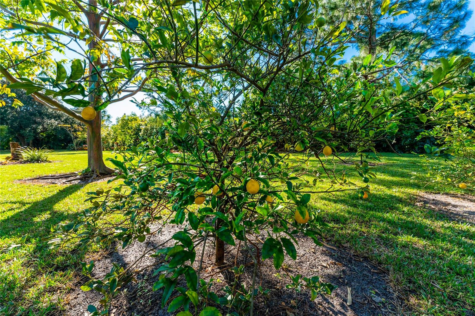 25271 Roland Ln Property Photo 5