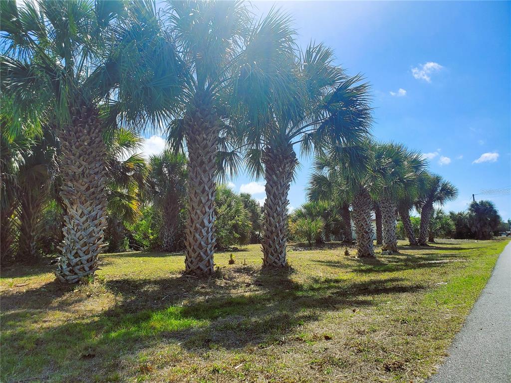 4241 & 4233 Rose Arbor Cir Property Photo 1