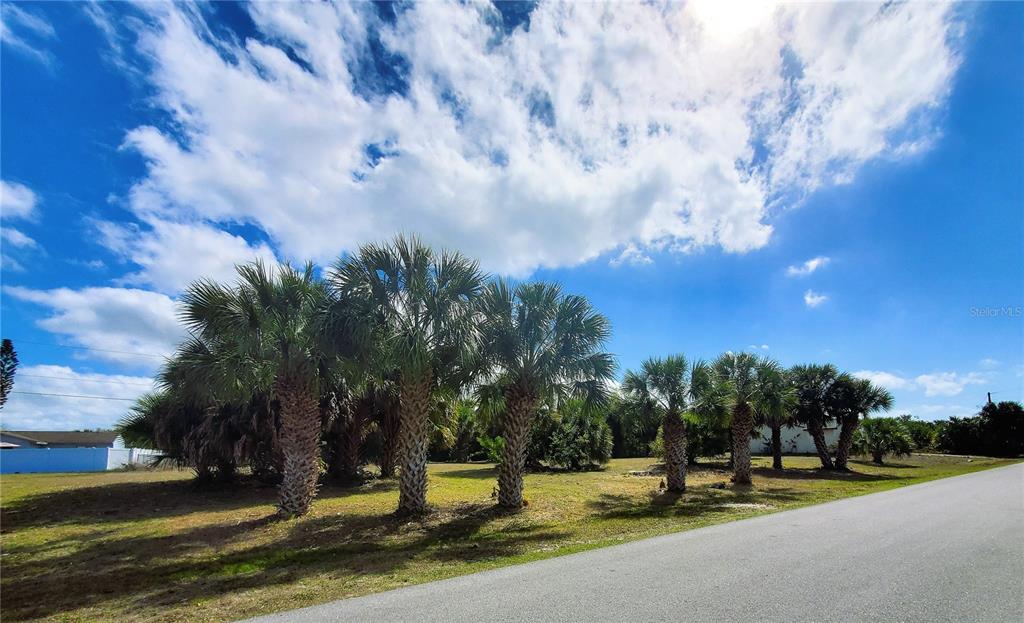 4241 & 4233 Rose Arbor Cir Property Photo 3