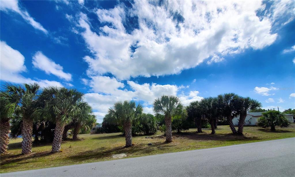4241 & 4233 Rose Arbor Cir Property Photo 6