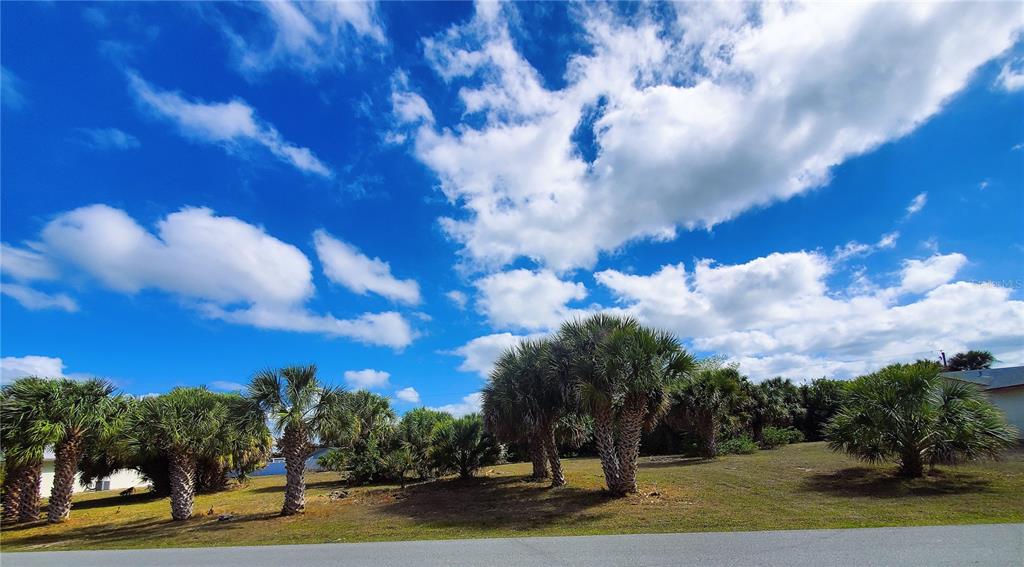 4241 & 4233 Rose Arbor Cir Property Photo 7