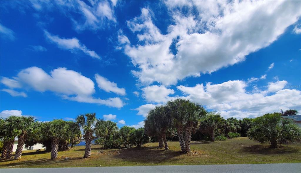 4241 & 4233 Rose Arbor Cir Property Photo 10