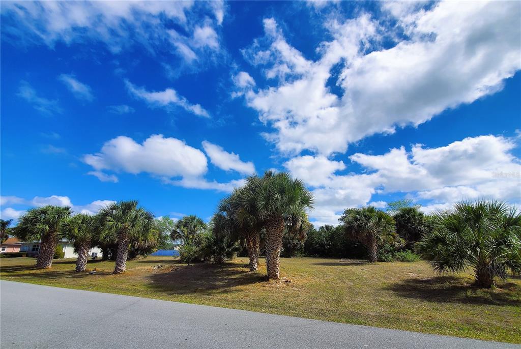 4241 & 4233 Rose Arbor Cir Property Photo 11