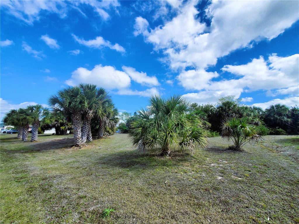 4241 & 4233 Rose Arbor Cir Property Photo 14