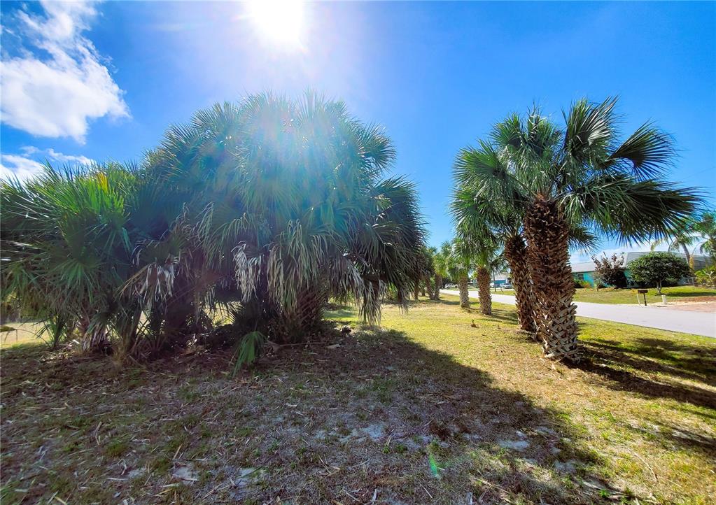 4241 & 4233 Rose Arbor Cir Property Photo 30