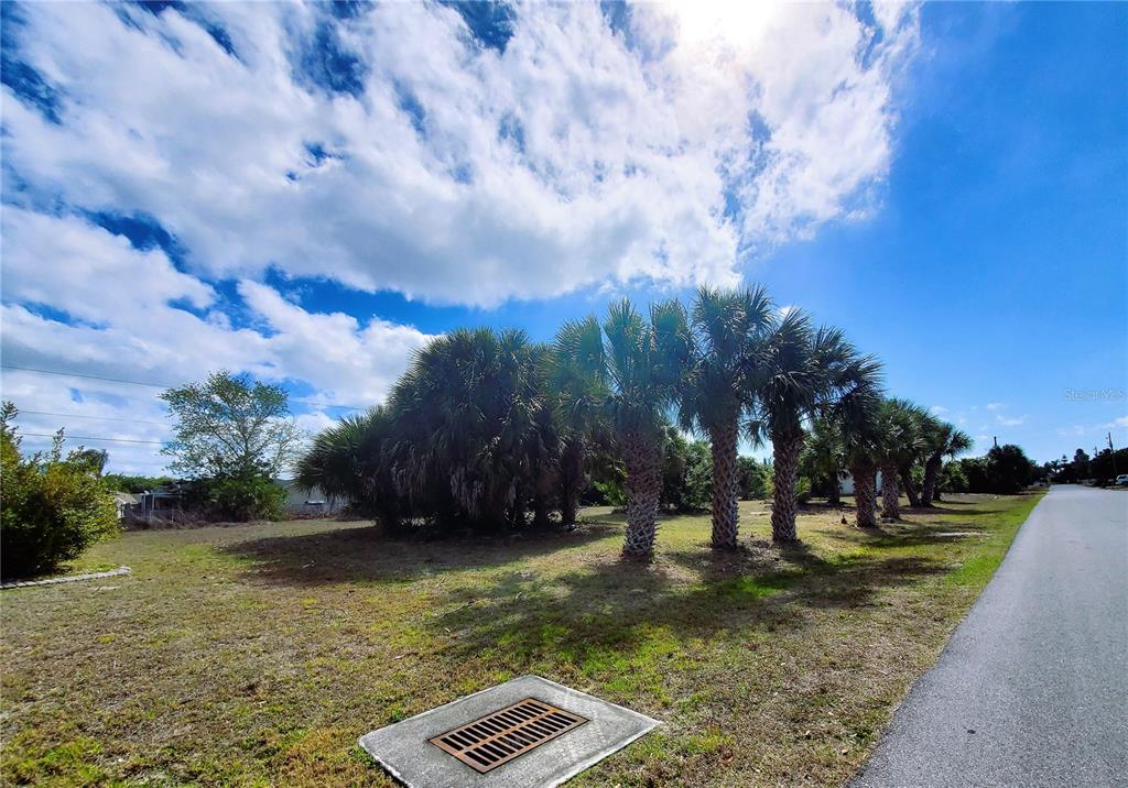 4241 & 4233 Rose Arbor Cir Property Photo 37