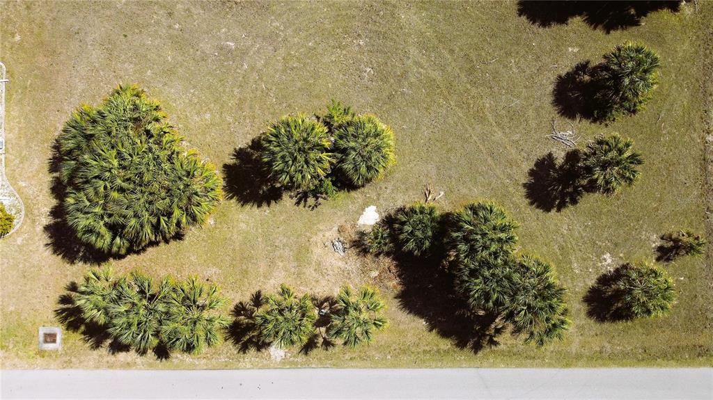 4241 & 4233 Rose Arbor Cir Property Photo 42