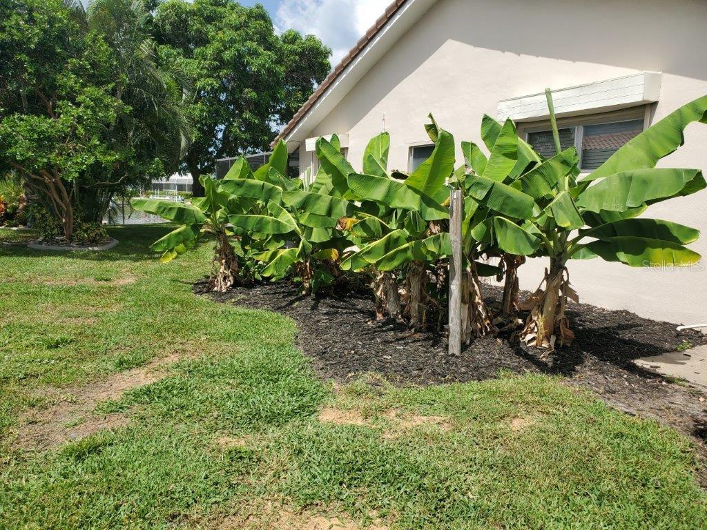 220 Tropicana Drive Property Photo 27
