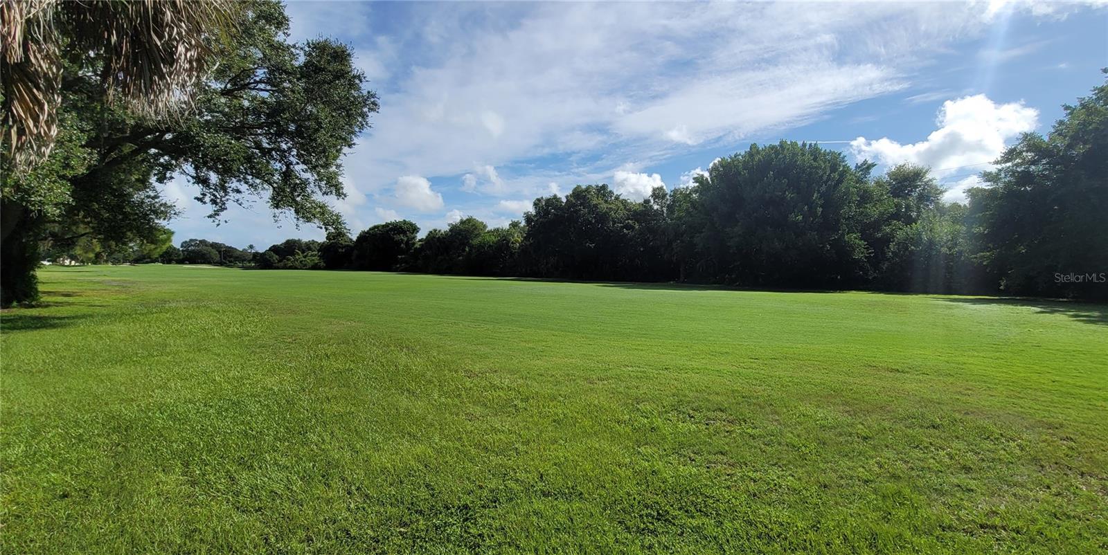 26311 Seminole Lakes Blvd Property Photo 31