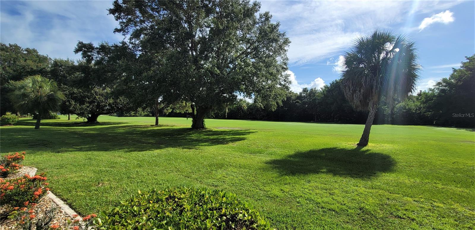 26311 Seminole Lakes Blvd Property Photo 32