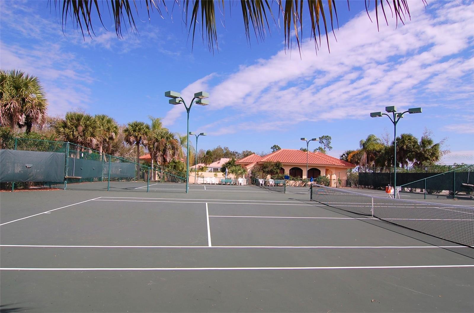 26311 Seminole Lakes Blvd Property Photo 41