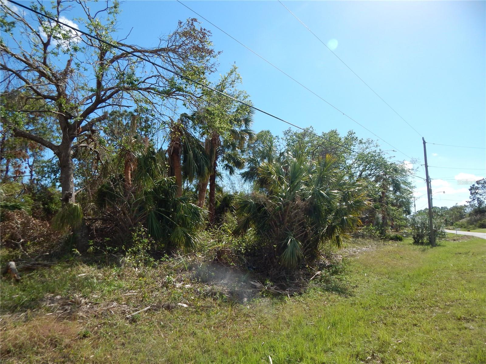 1292 Eppinger Dr Property Photo 2