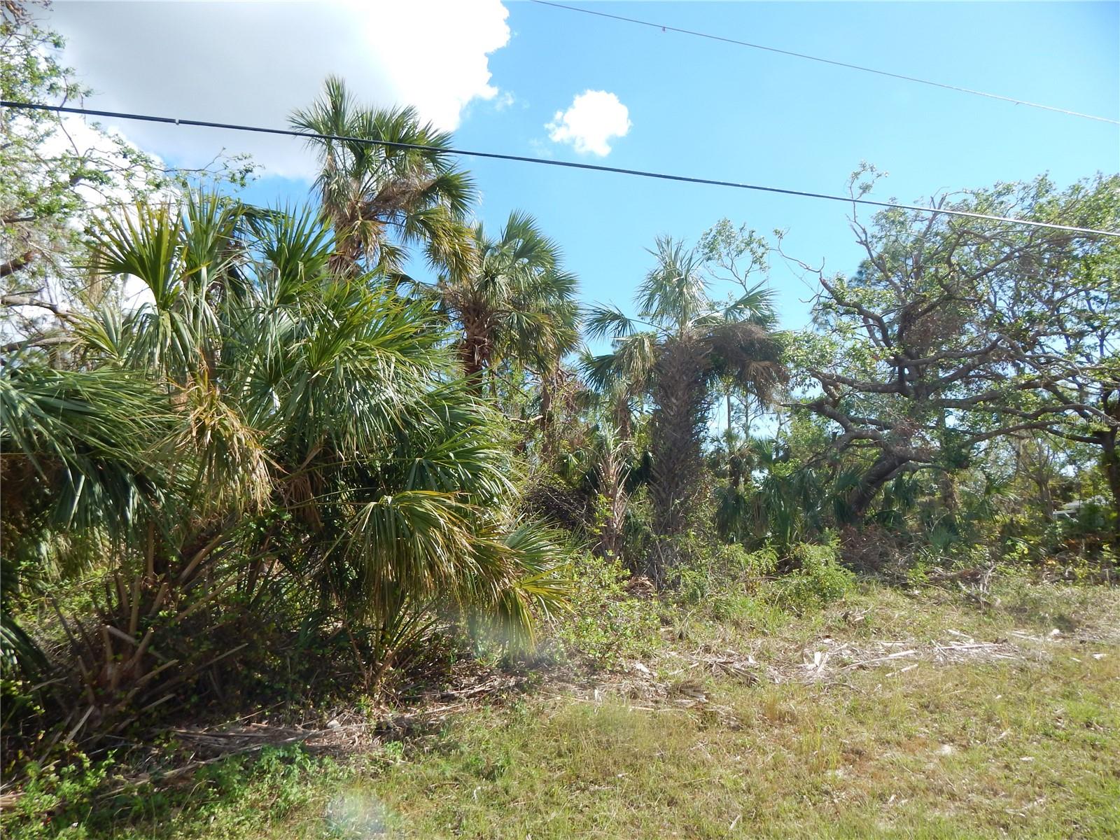 1292 Eppinger Dr Property Photo 3