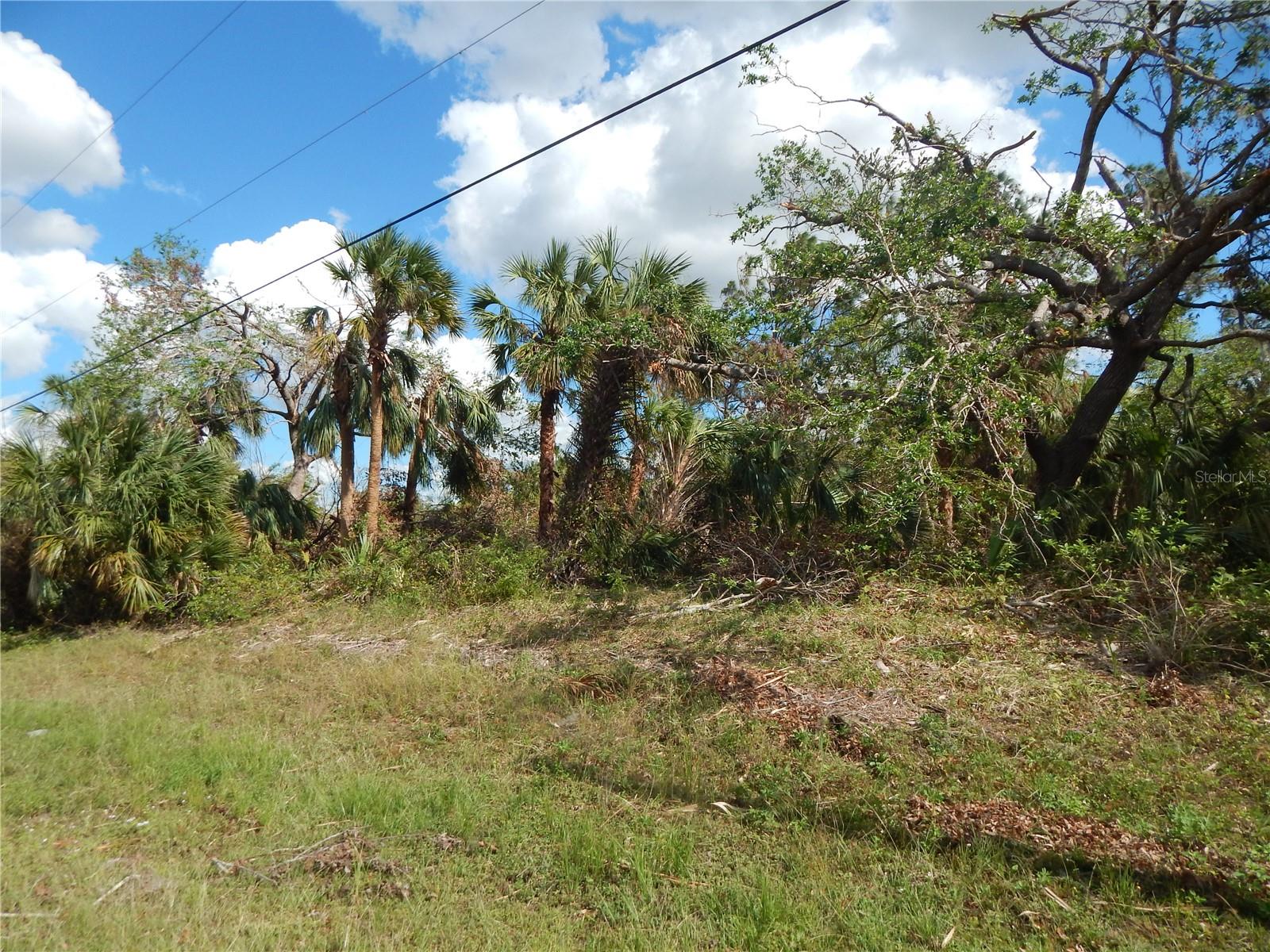 1292 Eppinger Dr Property Photo 4