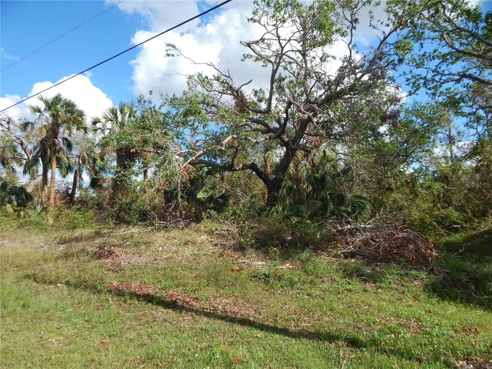1292 Eppinger Dr Property Photo 5