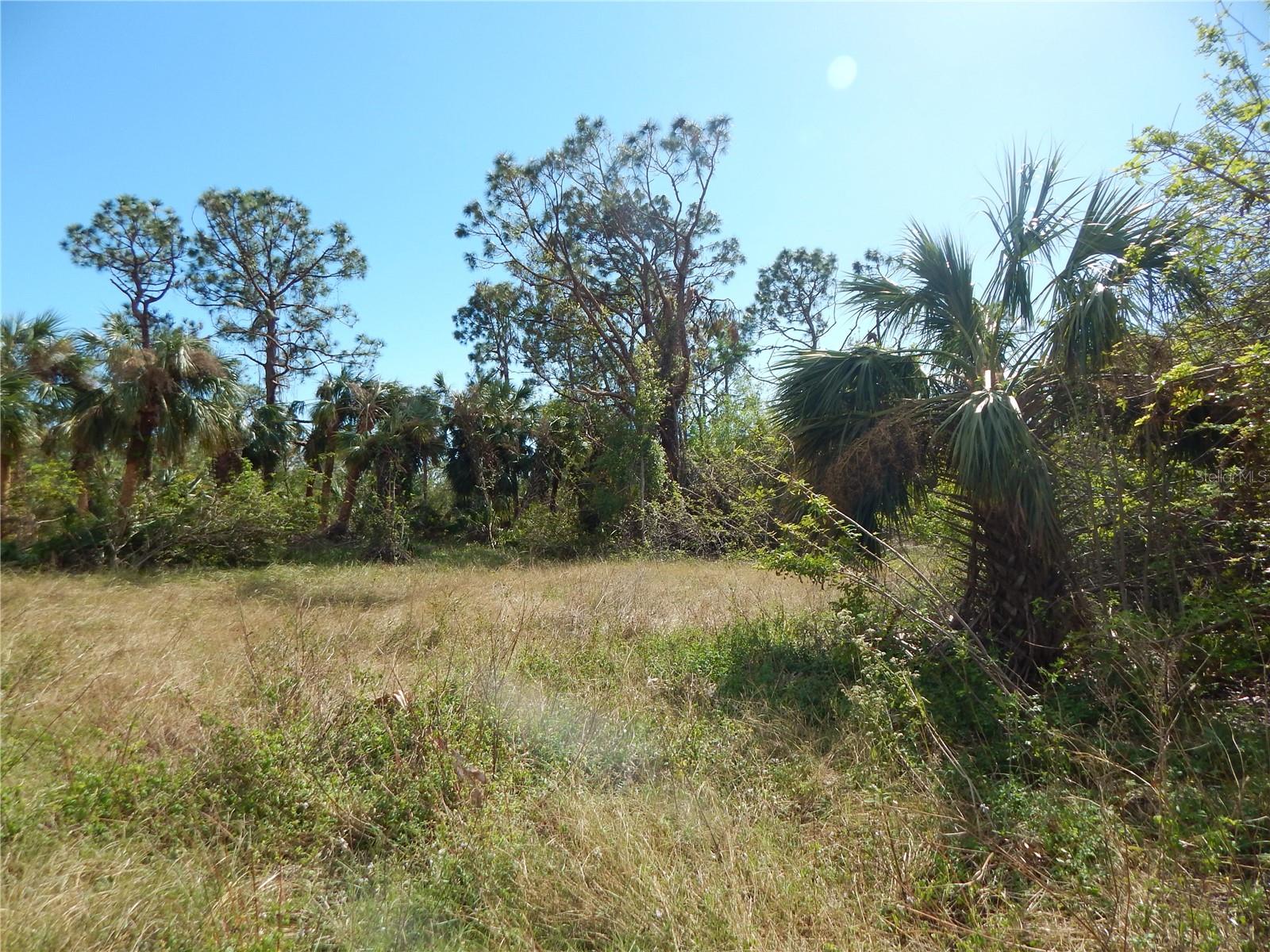 1292 Eppinger Dr Property Photo 6