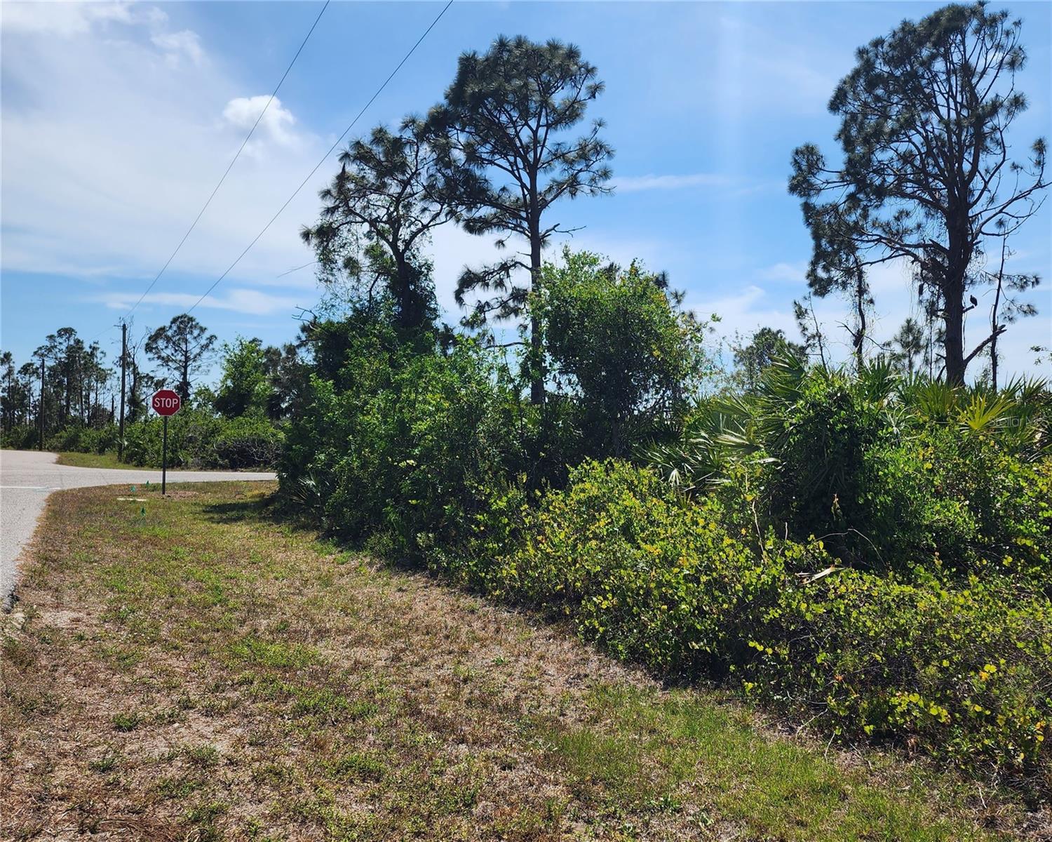 12282 Appleberg Cir Property Photo 1