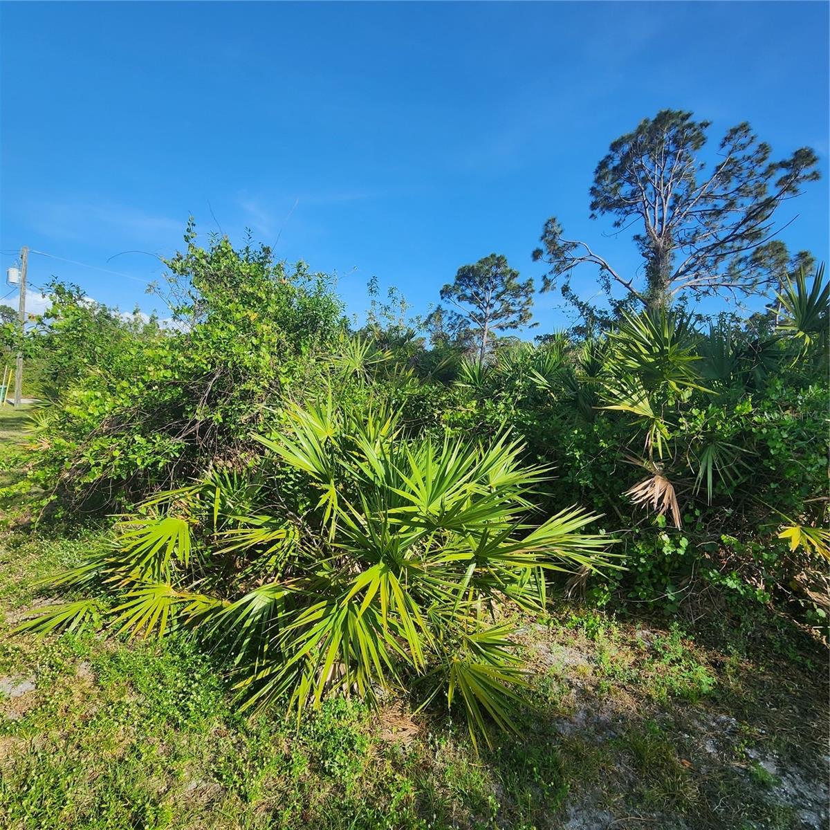 12282 Appleberg Cir Property Photo 8