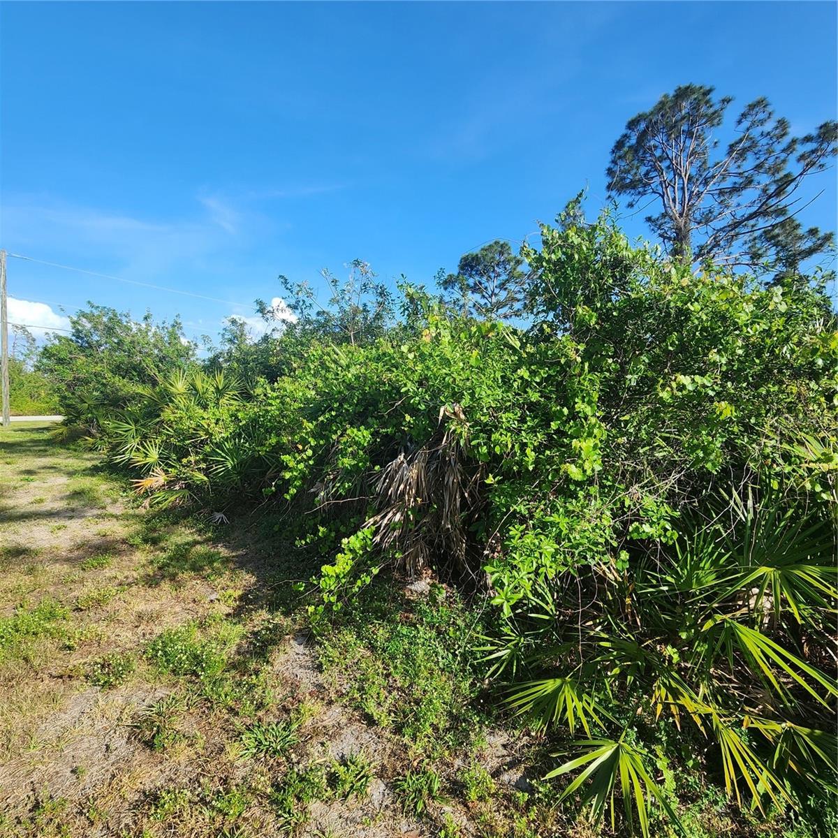 12282 Appleberg Cir Property Photo 9