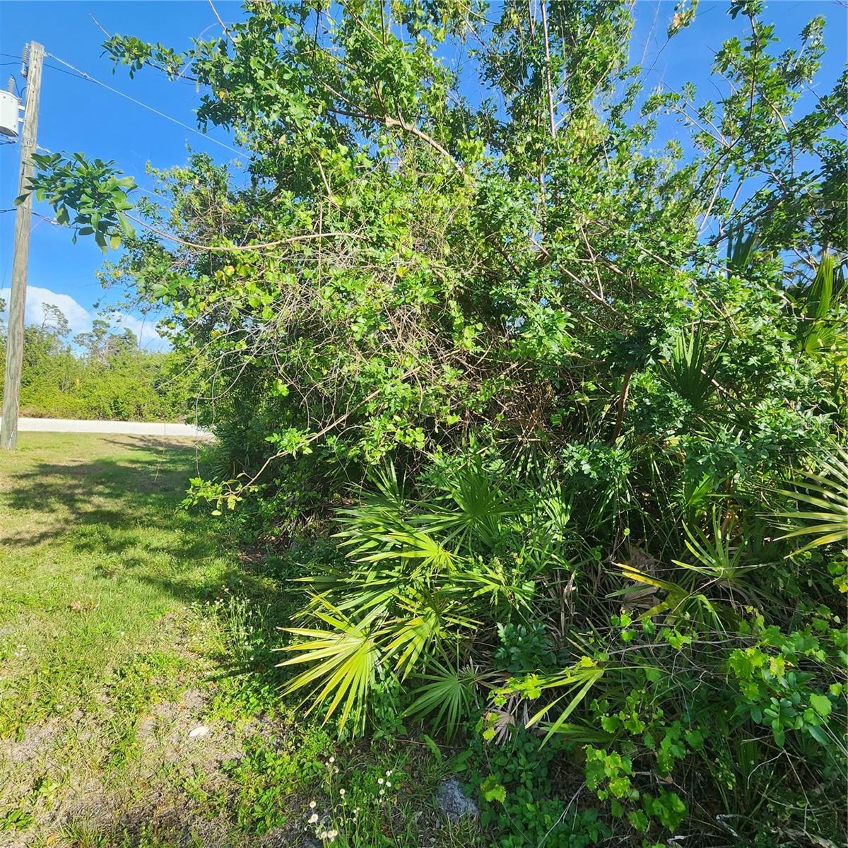 12282 Appleberg Cir Property Photo 12