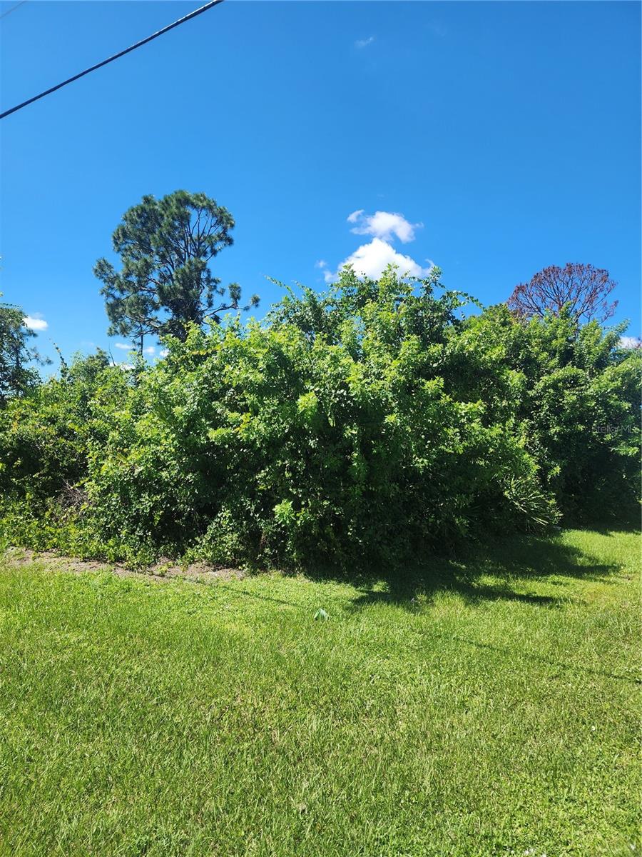 12282 Appleberg Cir Property Photo 18