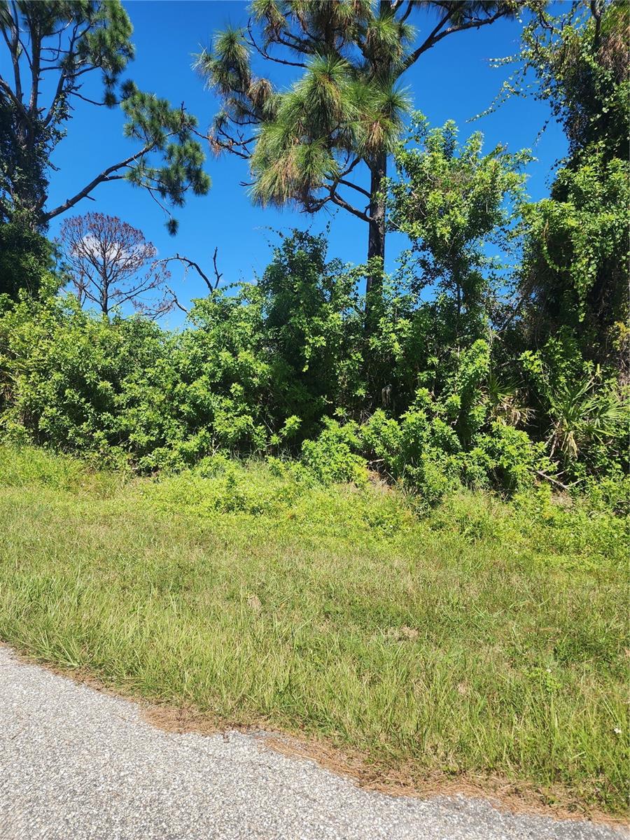 12282 Appleberg Cir Property Photo 21