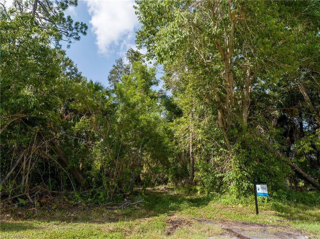 Tbd Pine Tree Drive Property Photo 7