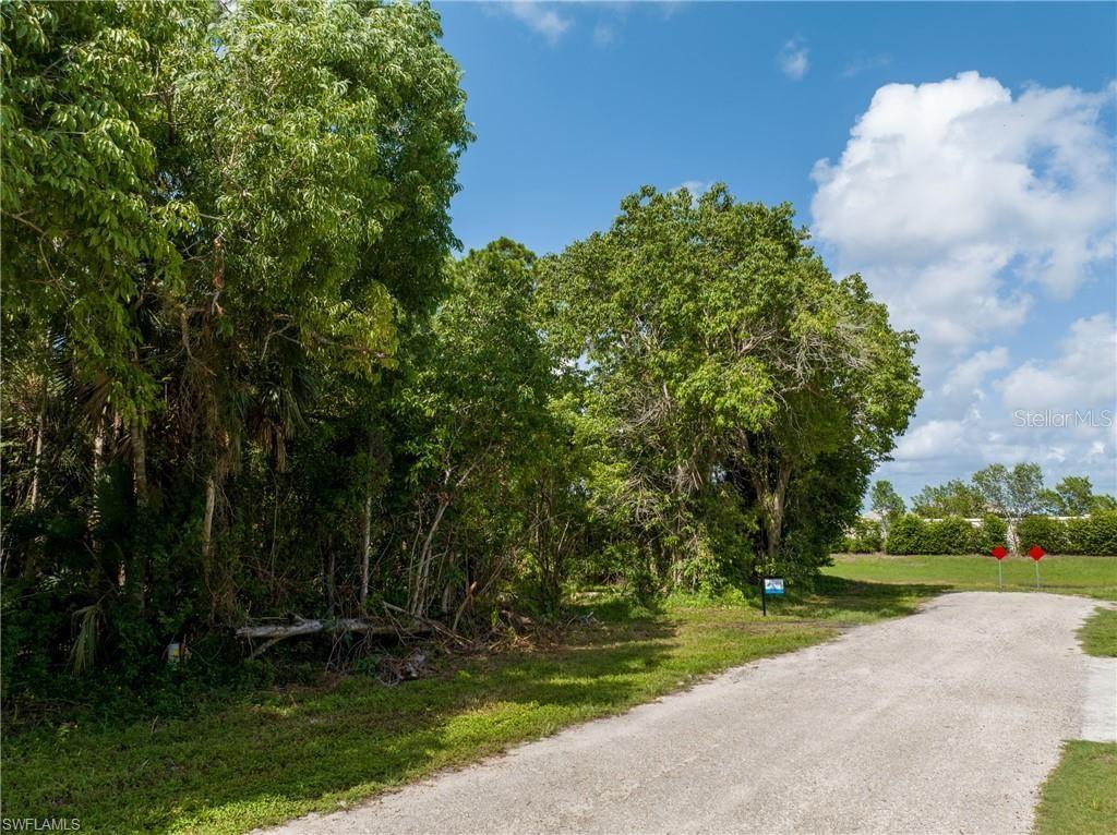 Tbd Pine Tree Drive Property Photo 8