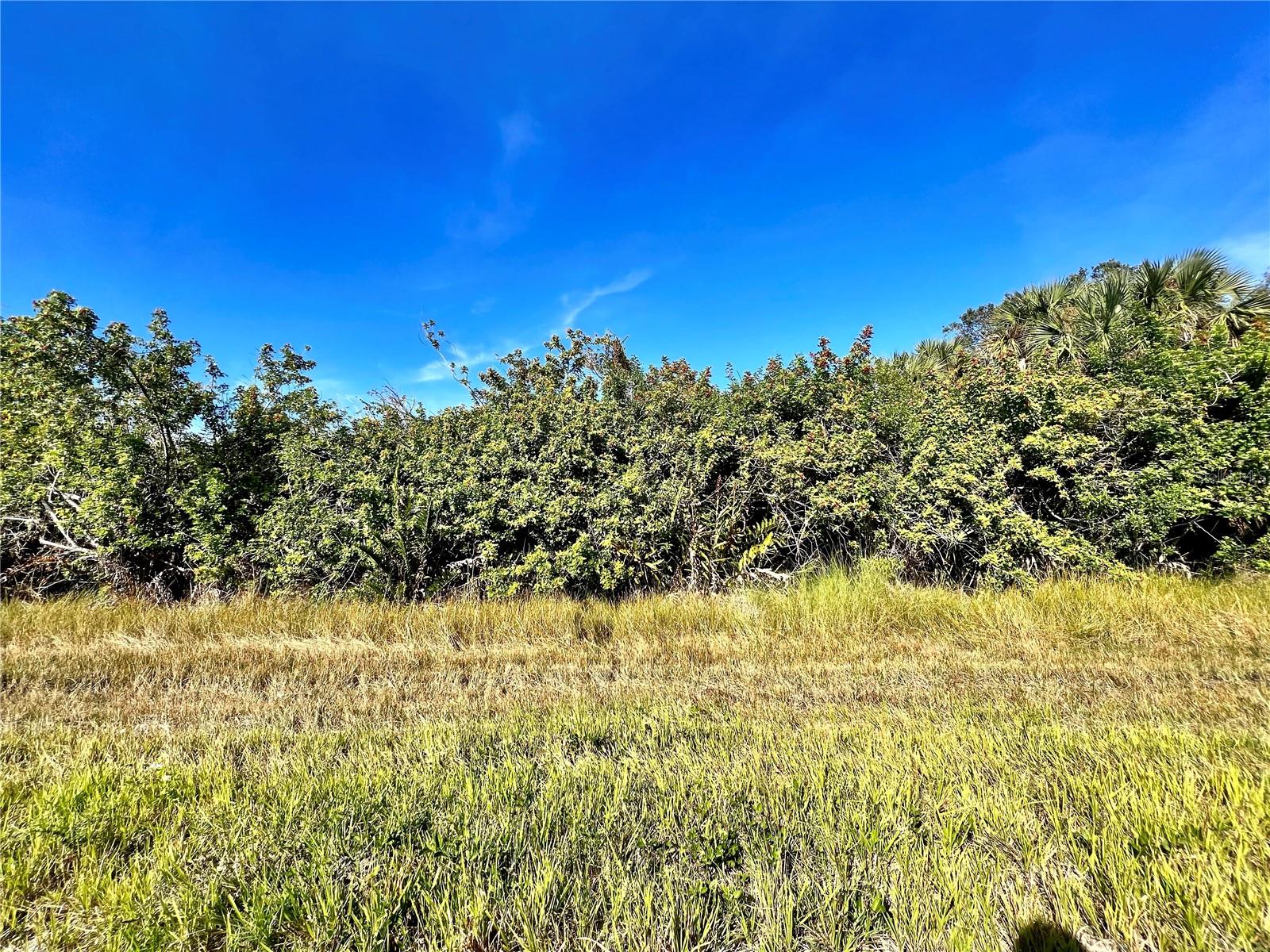 12188 KILMER AVE Property Photo 1