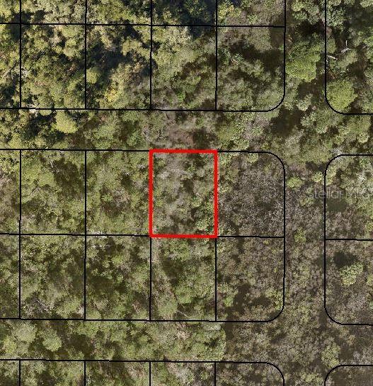 Lot 2 VOLUSIA AVE