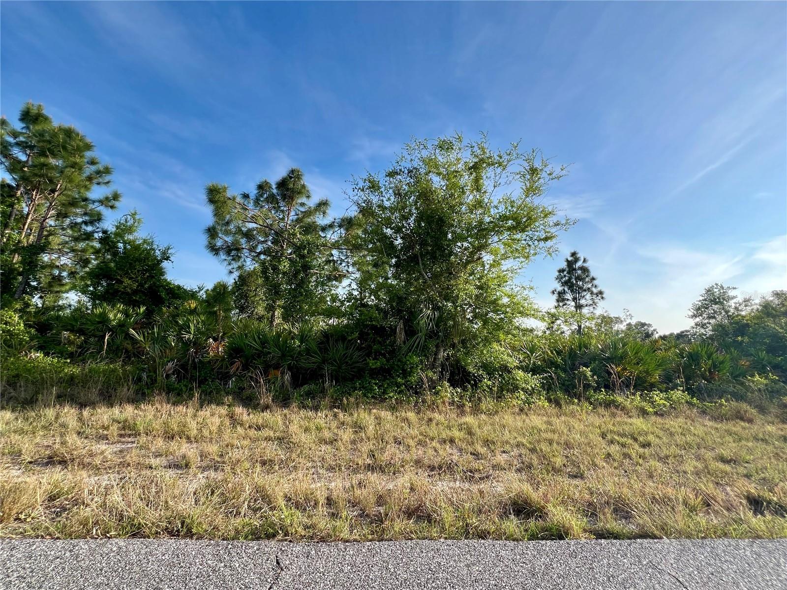 12069 ABRAMS AVE Property Photo 1