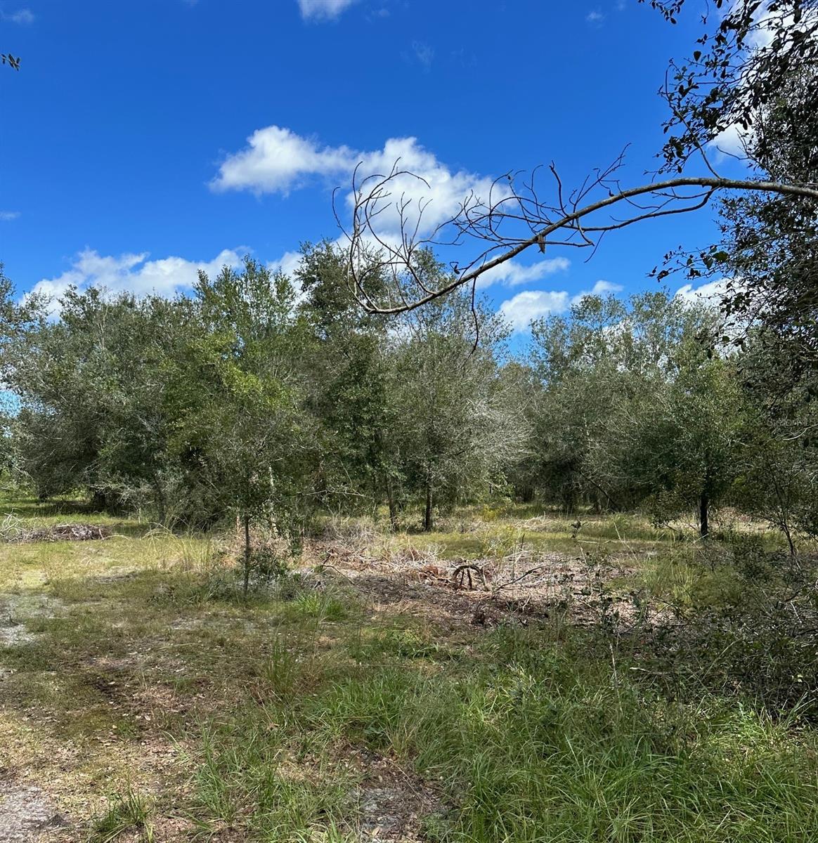 Se Tomlin #3 Dr Property Photo 2