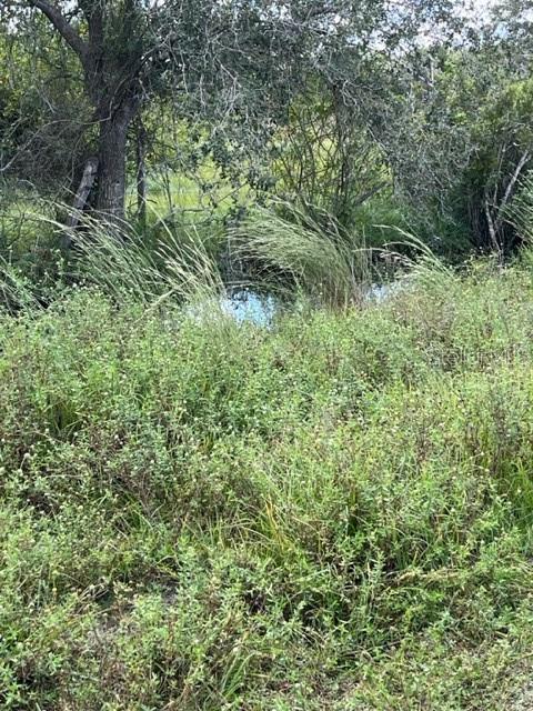 Se Tomlin #3 Dr Property Photo 3