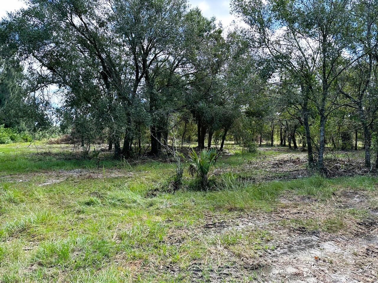 Se Tomlin #3 Dr Property Photo 4