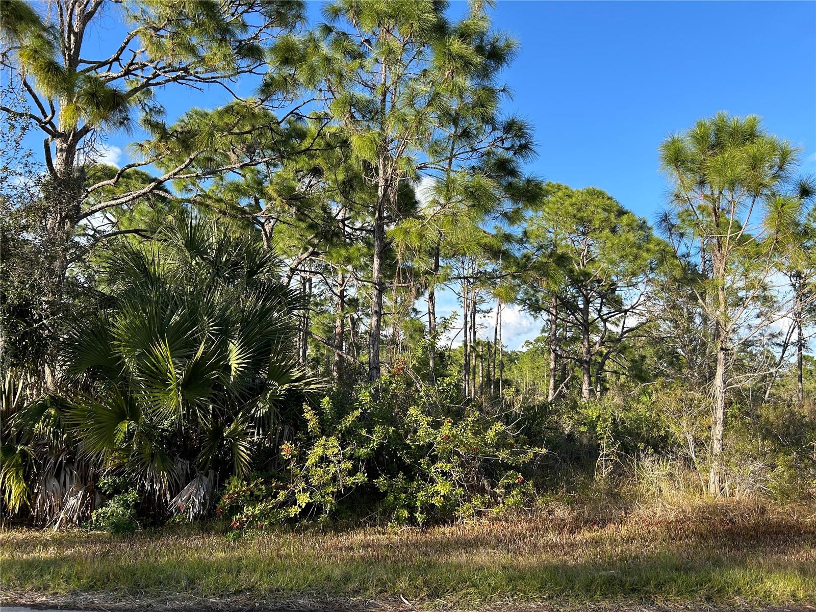13494&13502 Suribachi Ave Property Photo 6