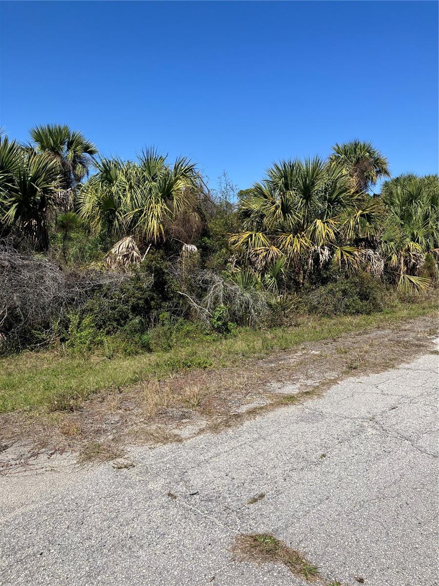 Bignay Rd Property Photo 3