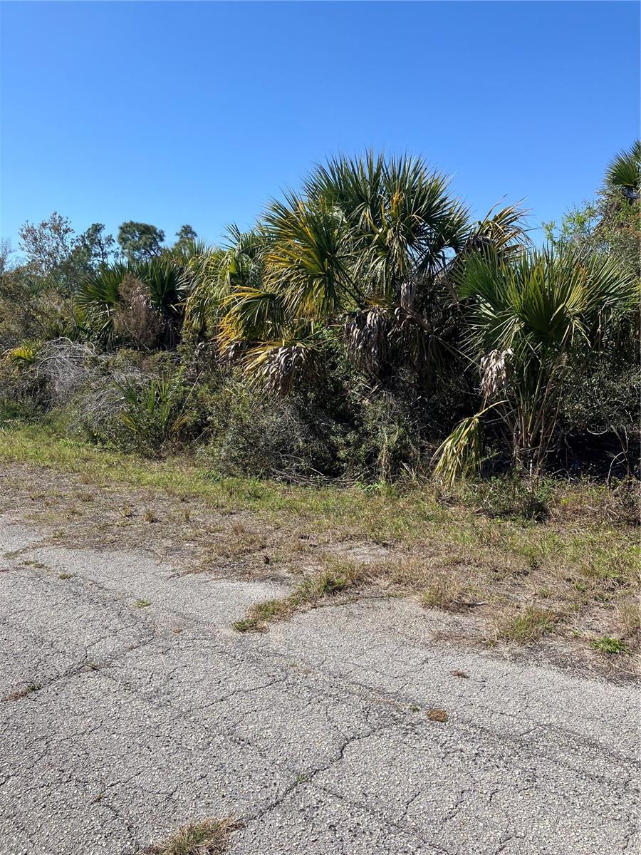 Bignay Rd Property Photo 5
