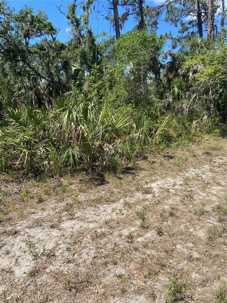 17115 Hemlock Ave Property Photo 2