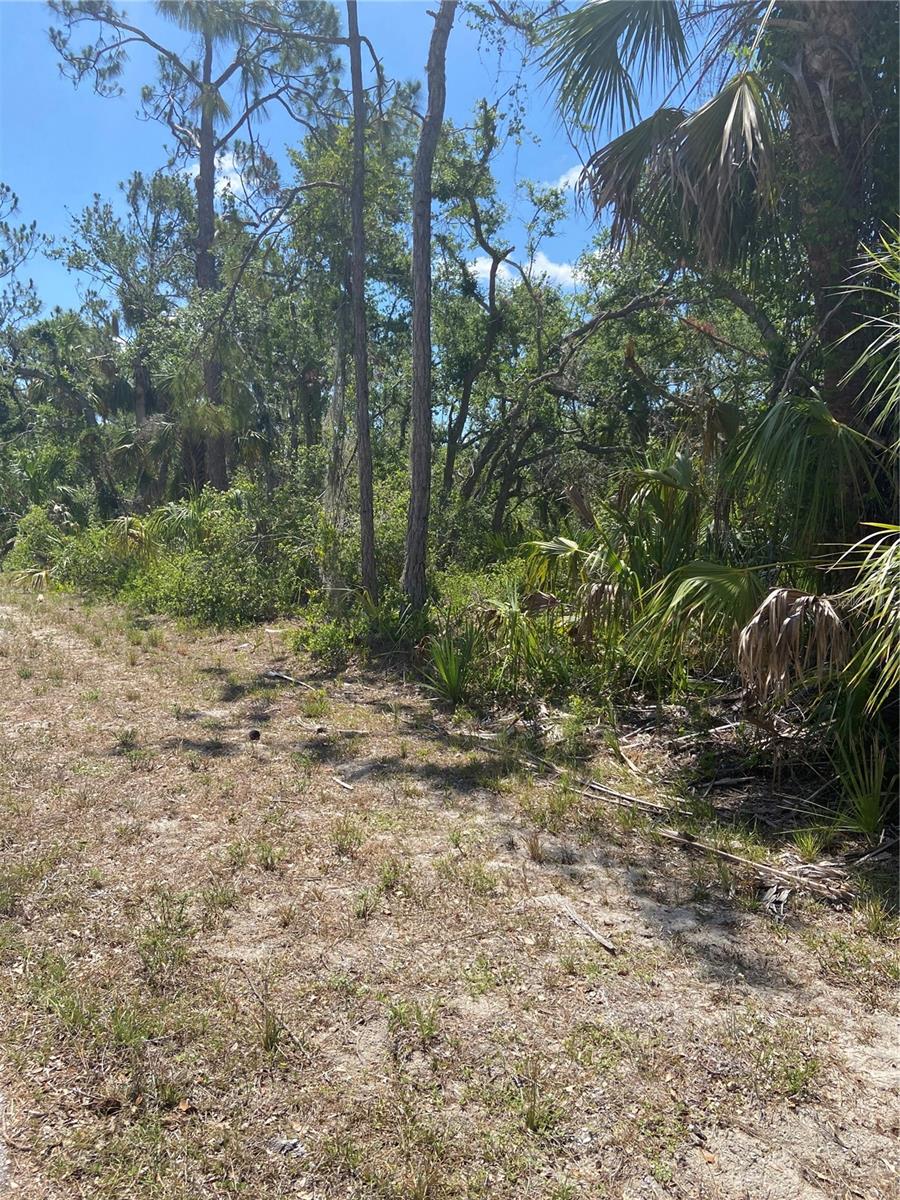 17115 Hemlock Ave Property Photo 5