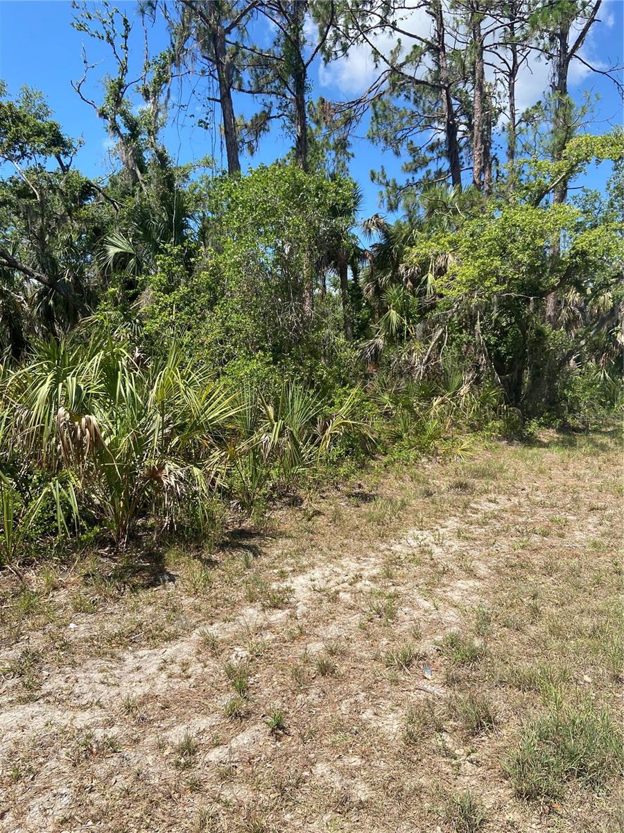 17115 Hemlock Ave Property Photo 9